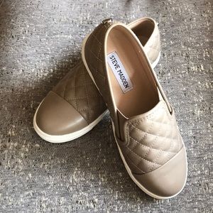 🆕 Steve Madden Ecentrcq Sneakers